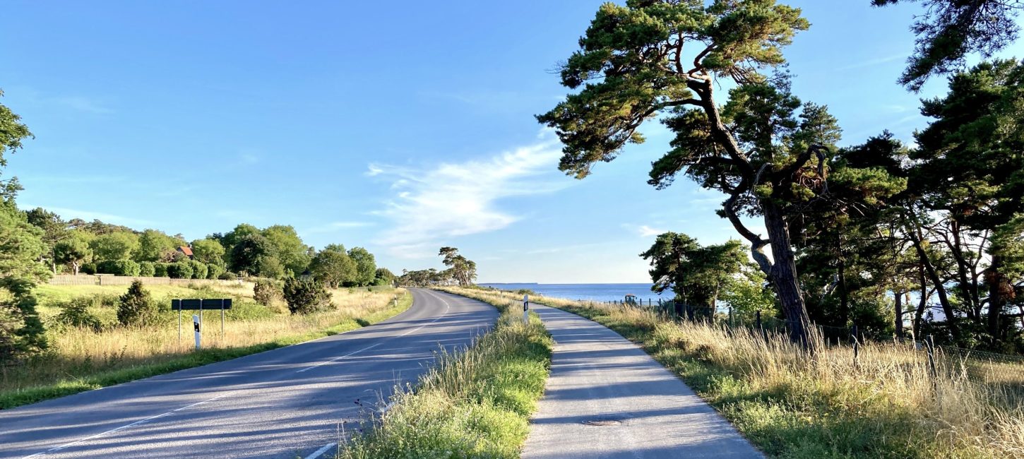 Küstenstraße auf Gotland - Schweden